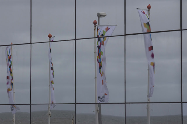 reflected flags