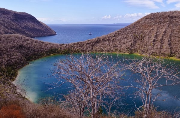 Galapagos