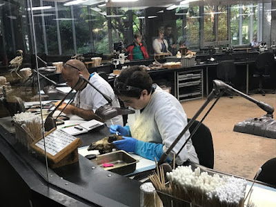 La Brea Tar Pits scientists working