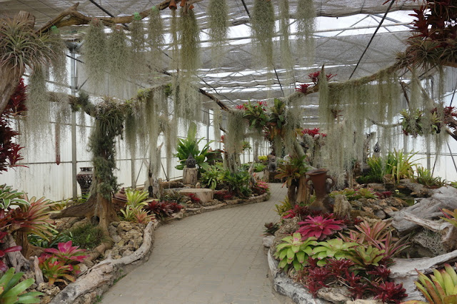Queen Sirikit Botanic Garden,chiang mai attractions,The Queen Sirikit Botanic Garden, trevel agency in chiang mai