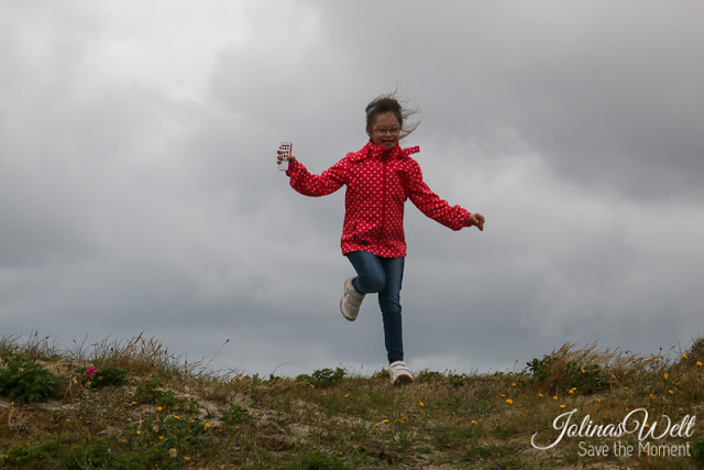 Dünen Bergen aan Zee in Nordholland