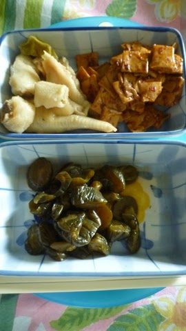C A T I Z E 皮肉