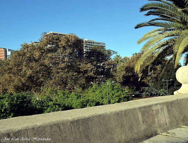 Vistas del viejo cauce del río Turia. Paseo de la Alameda. Foto particular.