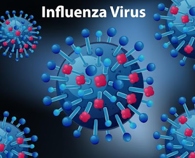 İnfluenza (Mevsimsel Grip)