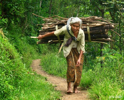 Gambar Foto Insfiratif Ibu adalah Segalanya