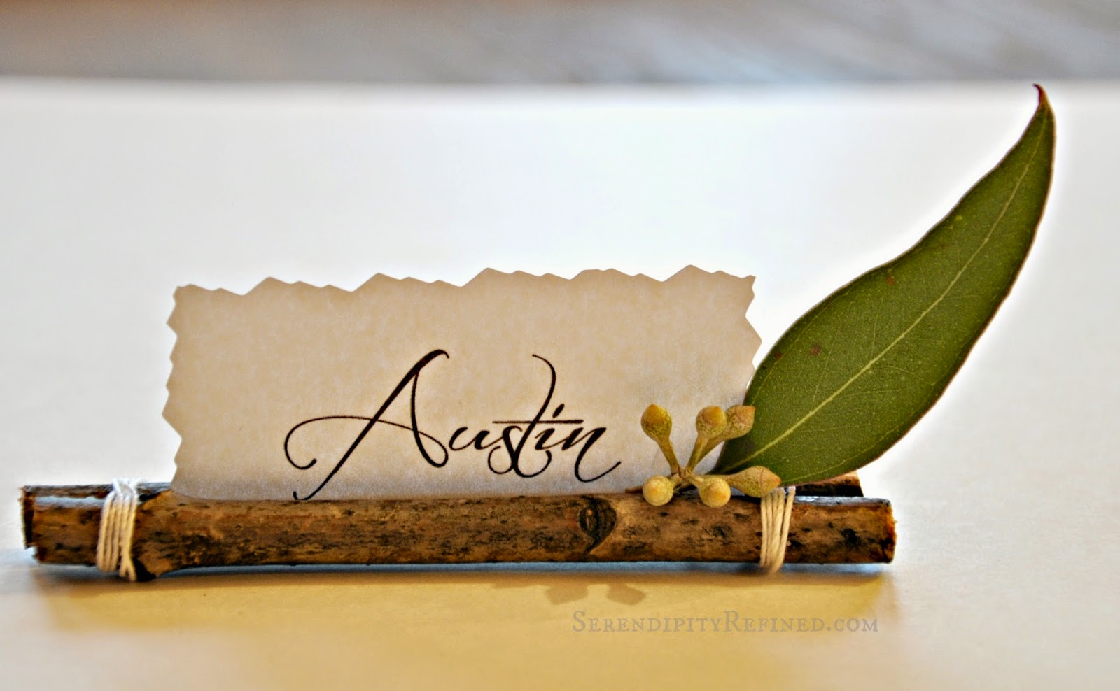 Serendipity Refined Blog: Super Easy Twig Place Card Holders