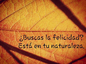 Busca primero tu felicidad y el resto le seguira. Busca primero el reino de los cielos y todo lo demás se te dará por añadidura. El reino de los cielos no vendra en forma visible, porque el reino de los cielos ya esta entre vosotros o dentro de vosotros.