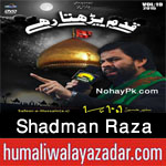 http://www.humaliwalayazadar.com/2015/06/shadman-raza-nohay-2016.html