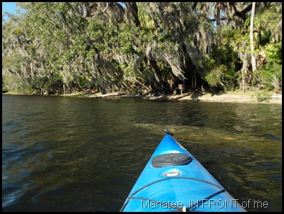 farmer's market & kayaking (119)
