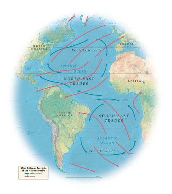 Mas por que os escravos eram sempre africanos? Uma possível resposta baseia-se nos diferentes valores das sociedades do mundo atlântico e, mais particularmente, no modo como os grupos de pessoas envolvidas na criação de uma comunidade transatlântica viam a si próprios em relação aos outros — em suma, como eles definiam a sua identidade.
A tecnologia de navegação marítima dos europeus colocou-os em contato próximo e constantes com povos que diferiam mais deles, cultural e fisicamente, do que qualquer outro povo com o qual eles tinham interagido no milênio anterior. Inicialmente — excetuando-se, em parte, a Angola ocidental — os europeus não conseguiam controlar territórios nem na África nem na Ásia. Como os africanos tinham capacidade de resistir aos europeus, as plantations de açúcar foram estabelecidas nas Américas e não na África. Mas se os africanos, com a ajuda de agentes patogênicos tropicais, eram capazes de resistir aos invasores potenciais, alguns deles estavam dispostos a vender escravos para os europeus utilizarem nas Américas. A dominação europeia dos ameríndios havia sido completa — aliás, do ponto de vista europeu, completa até demais. O impacto epidemiológico do Velho Mundo destruiu não só as sociedades nativas americanas como também toda uma fonte potencial de mão de obra