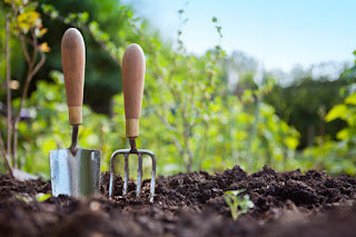 MAKING A GARDEN. 