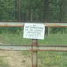 View album