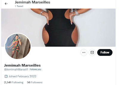 a new Twitter follower with an unnaturally proportioned Barbie doll body named Jemimah Marseilles