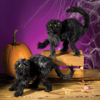 Halloween Black Cat Card Set