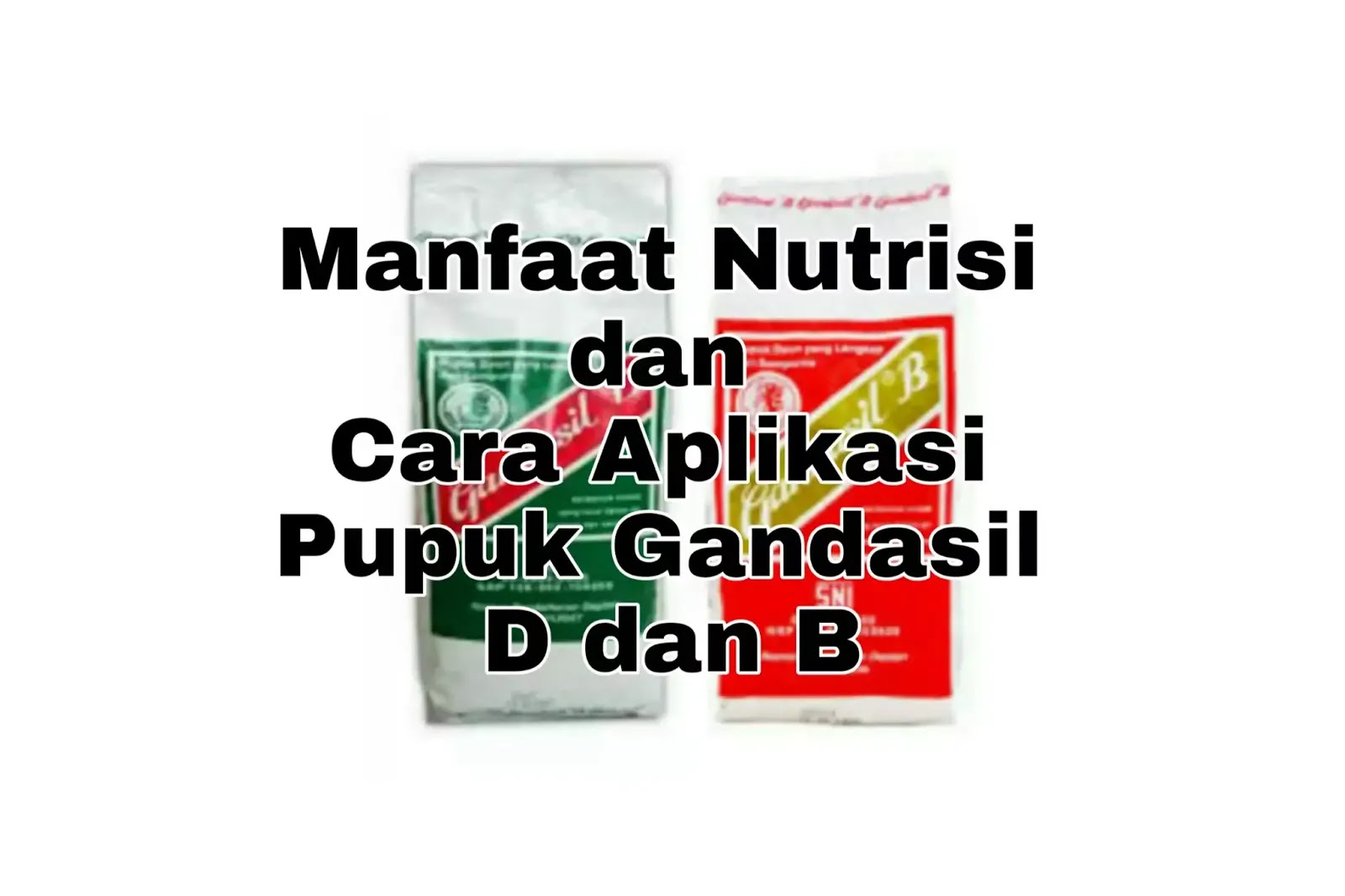 Manfaat Nutrisi dan Cara Aplikasi Pupuk Gandasil D dan B Manfaat Nutrisi dan Cara Aplikasi Pupuk Gandasil D dan B