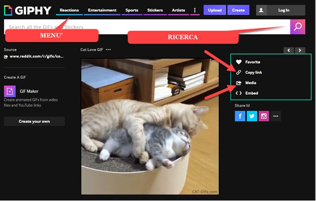 come cercare le gif su giphy