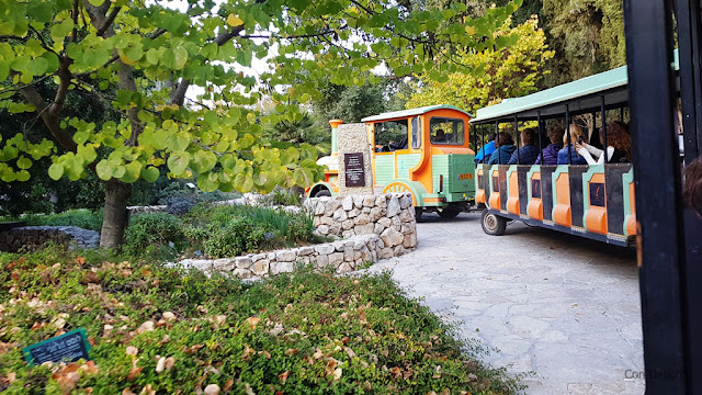 נוסעים ברכבת בגן הבוטני בירושלים