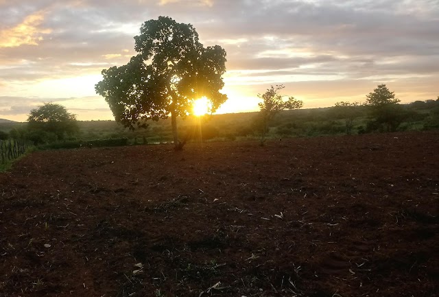 O ENTARDECER DO MEU SERTÃO QUE NOS INSPIRA