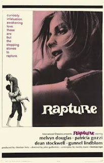 http://filmbantha.blogspot.co.uk/2016/07/essential-films-that-deserve-more-attention-rapture.html