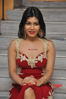 Rachana Smith in a Red Deep Neck Leg Split Gown ~  Exclusive Galleries 038.jpg