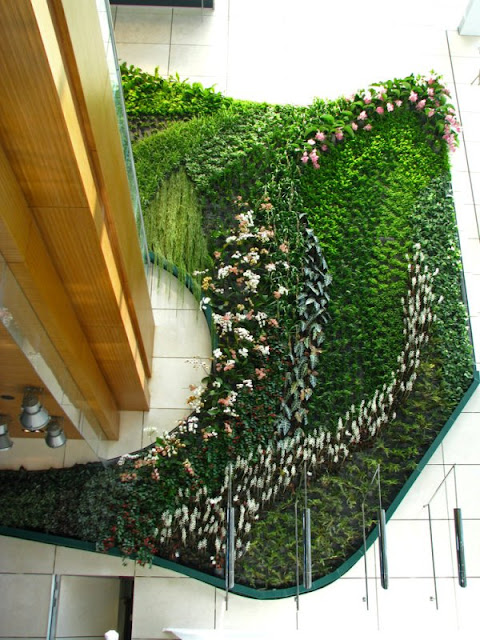 Vườn Trên tường độc đáo tại Hồng Kông