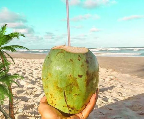 Principais beneficios da água de coco
