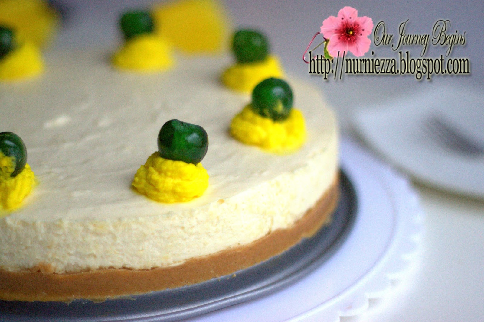 Our Journey Begins: Non - Bake Durian Cheese Cake