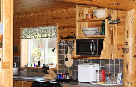 kitchen window