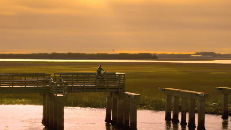 Pitt Street Bridge