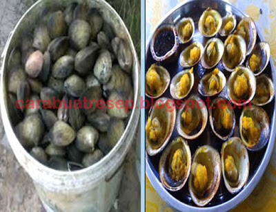 Foto Lokan Kerang Air Tawar