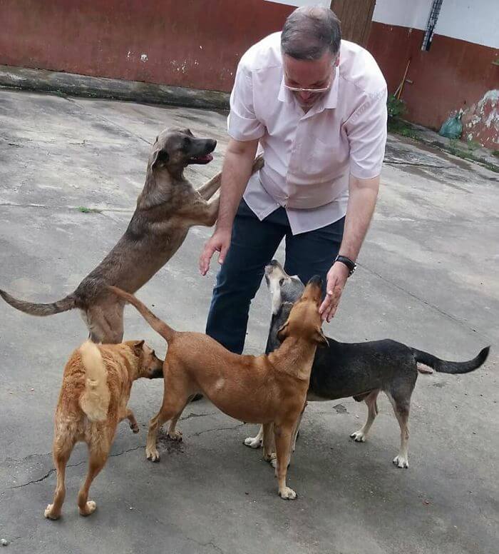 Compassionate Priest Invites Stray Dogs To His Service So They Can Find New Families