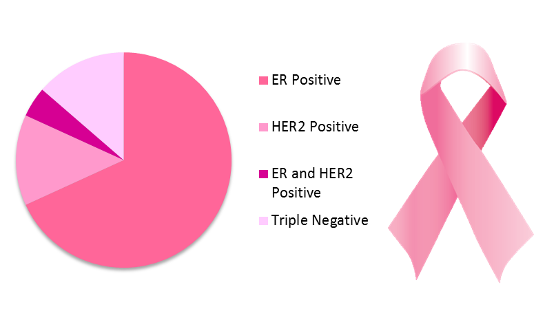 Types of Breast Cancer