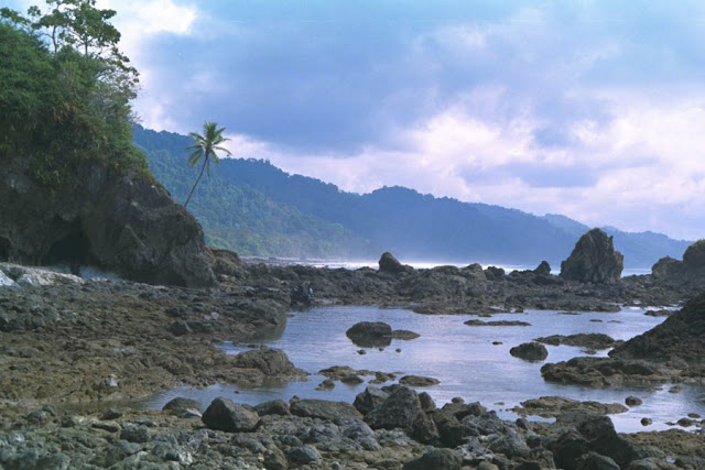 Parque Nacional Corcovado