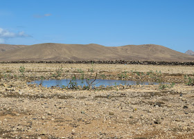 Embalse de los Molinos - Fuerteventura