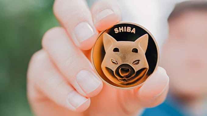  Profit from the Internet 2022 from (Shiba Ainu) thousands of dollars || With your phone only