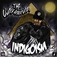 00 - The_Underachievers_Indigioism-front-large