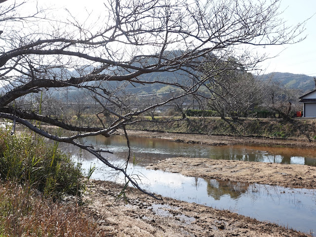 東郷川