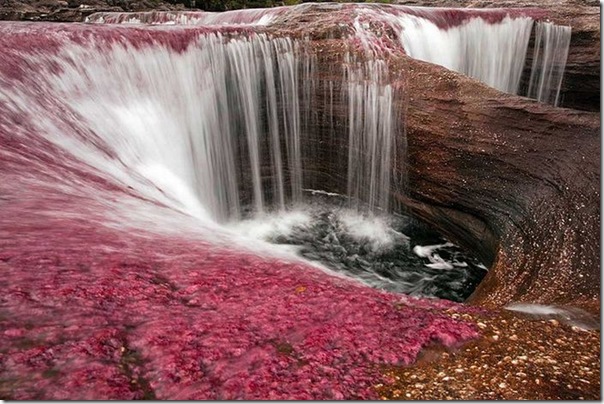 Lindas imagens de cachoeiras (13)