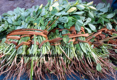  Learn more about Green Leafy Vegetables Nepal