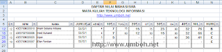 Hasil Filter Database Excel