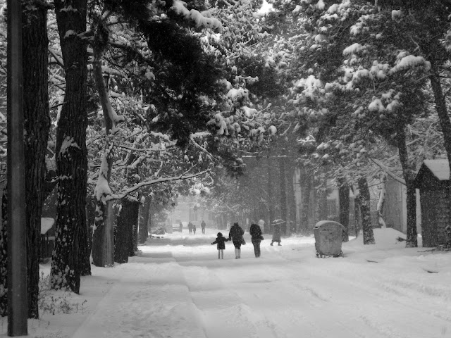 A walk in my neighborhood on a snowy day. Rustavi, Caucasus Georgia. February 2021. Credit: Mzuriana.