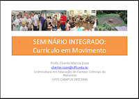  Seminário Integrado/Atividades Integradoras: das diretrizes para a sala de aula