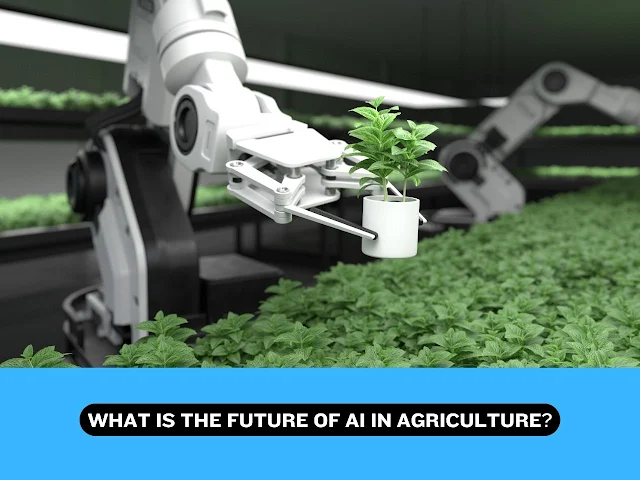 What is the Future of AI in Agriculture