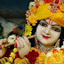 Lord Sri Krishna Isckon Temple Nice Images