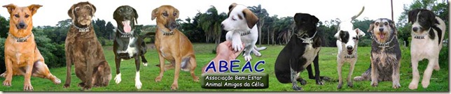 banner_abeac banner_abeac
