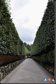 DSC_0375