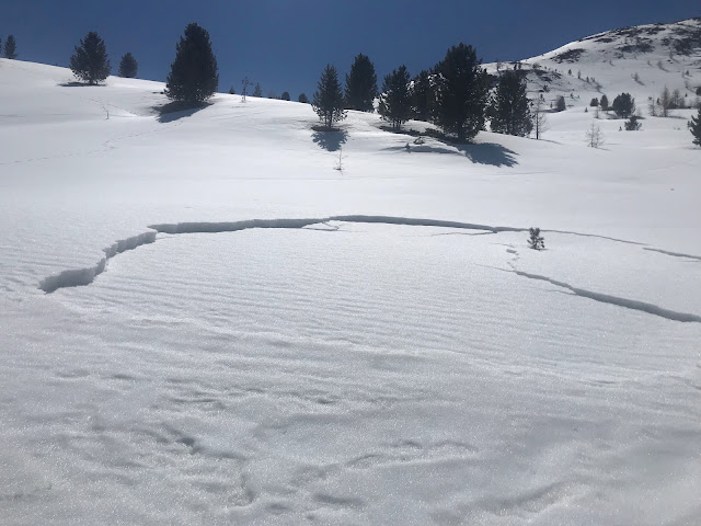 Assestamento del manto nevoso bagnato sopra Maseben, Vallelunga, quota 2300- 2400 m. (Foto: Guida alpina Reinhard Senoner, 14.04.2022)