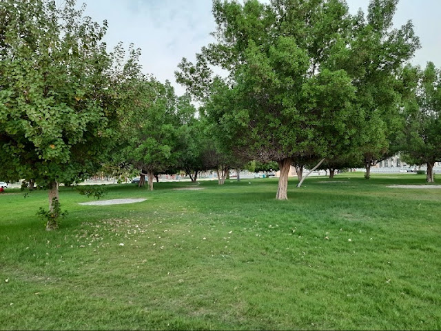 حديقة الأمير سعود بن جلوي