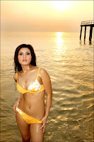Hot Indian Sexy Bikini Girl - Novie Amelia