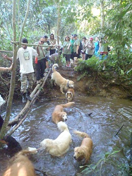 FDS Ecãologico 7 (90)